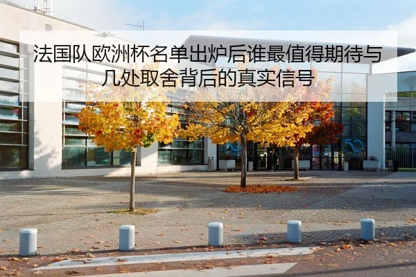 法国队欧洲杯名单出炉后谁最值得期待与几处取舍背后的真实信号
